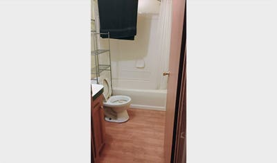 Single Room in 1 bed house in Conway Main Photo
