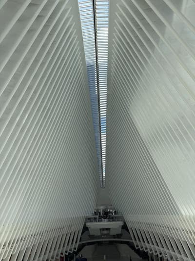 Room wanted in Jersey City, NJ Main Photo