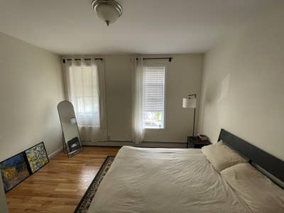 Bright room in laid-back Hunters Point apt Main Photo