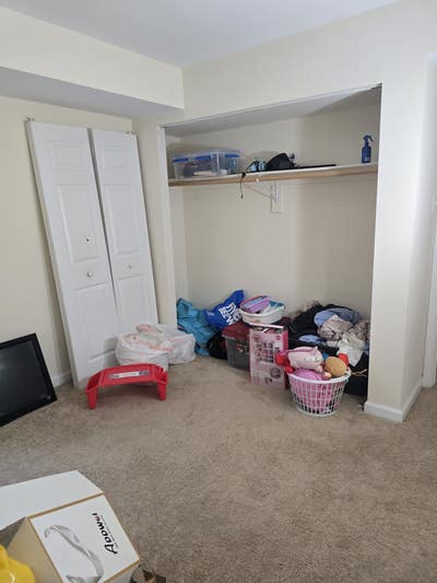 Female roommate wanted Main Photo