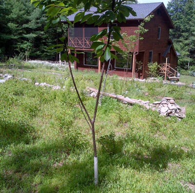 43 Indian Rd.  Main Photo