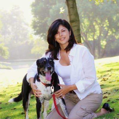 Veterinarian looking for NYC home base Main Photo