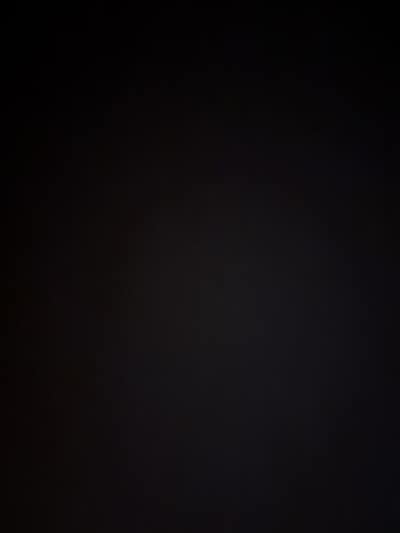 Room wanted in NYC Main Photo