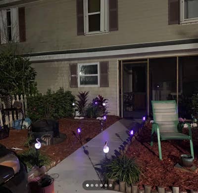 Live in North Beach Main Photo