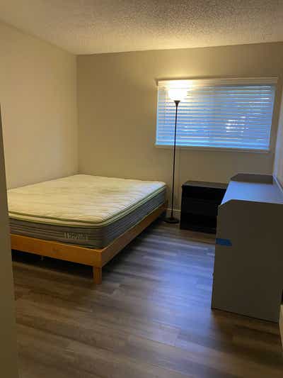 Room in Luxury Apartment Main Photo