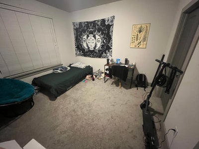 3 Bed 2 Bath - Lease starting in August Main Photo