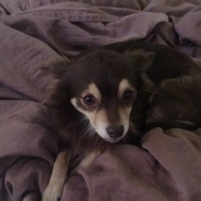 Room wanted in Far North Fort Worth, TX Main Photo