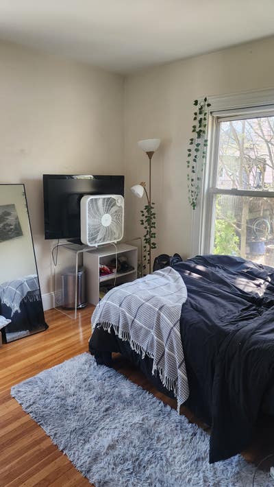 Private Room in Boston Main Photo