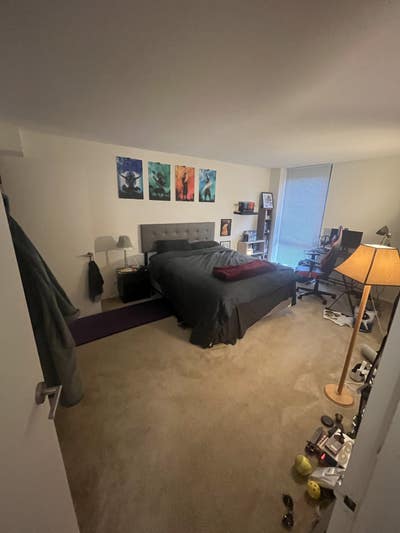 Looking for new roommate! Arlington area apartment Main Photo