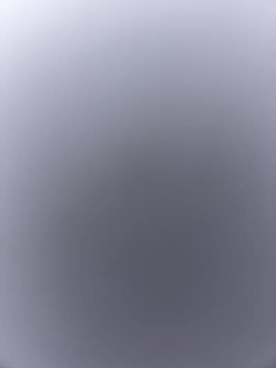 Room wanted in long branch nj Main Photo