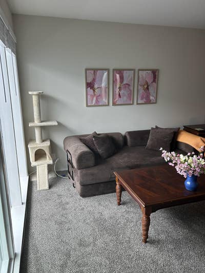 Female Roommate Wanted — Inner Richmond/Clement! Main Photo