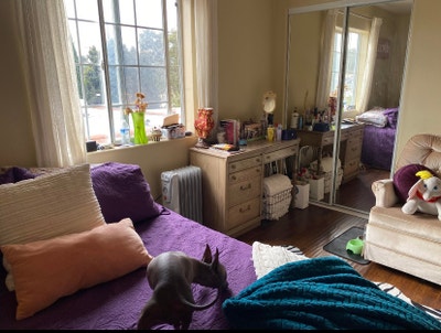 Looking to sublet one of our rooms in Mid City  Main Photo