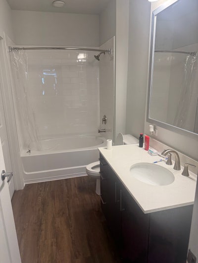 Large Room for rent with private bath Main Photo