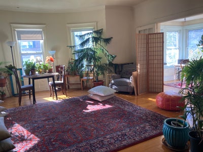 Large Room In Gorgeous Apartment Main Photo