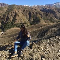 Room wanted in Napa, CA Main Photo