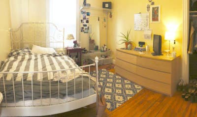 Private Room right in the Heart of Little Italy Main Photo