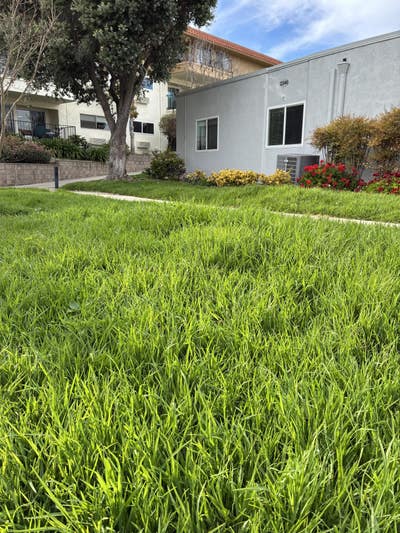 Room wanted in Orange, CA Main Photo
