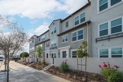 2 Rooms available for rent in Arcadia Main Photo