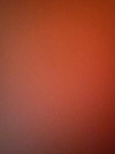 Room wanted in Bronx, NY Main Photo