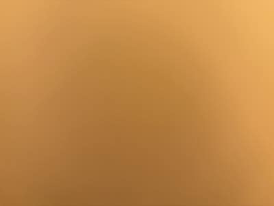 Room wanted in Bronx, NY Main Photo
