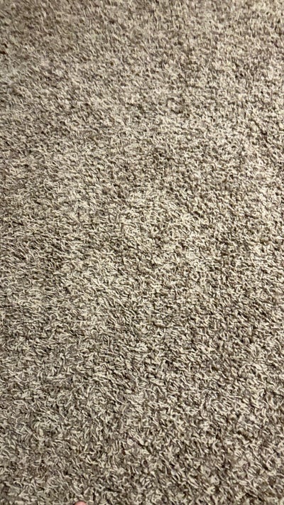 Room wanted in Las Vegas Enterprise Park, NV Main Photo