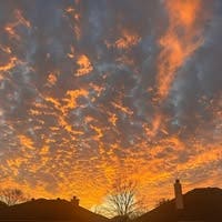 Room wanted in Fort Worth, TX Main Photo