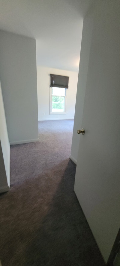 Rooms for Rent in Arlington Near Ballston Metro Main Photo