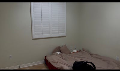 Single Room in 4 bed house in Frances Main Photo