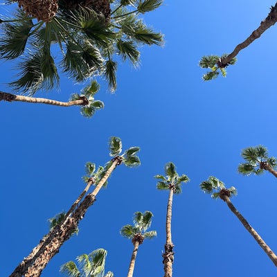 Room wanted in Oceanside, CA Main Photo