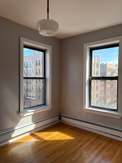 Female Roommate in Williamsburg Main Photo