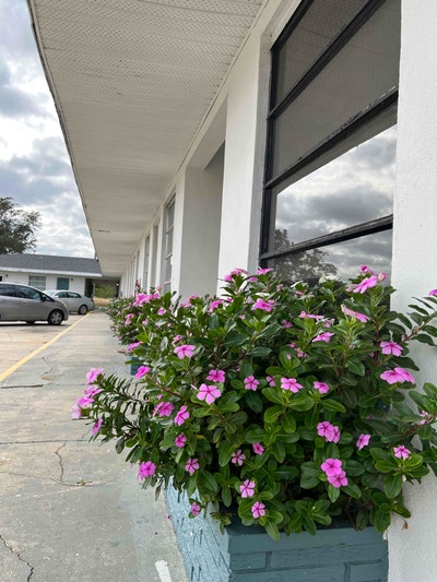 1BR Room in Indian Lake Estates | $mo | Available Main Photo