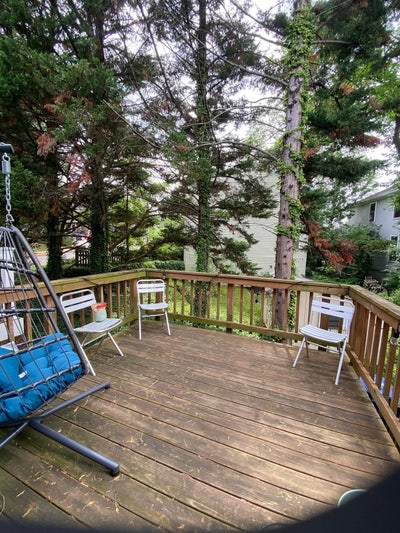 Looking for a Female Roommate- $875/month Main Photo