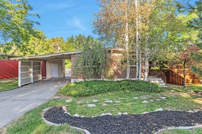 Bright Walk_Out Apartment | With Fenced Yard Main Photo