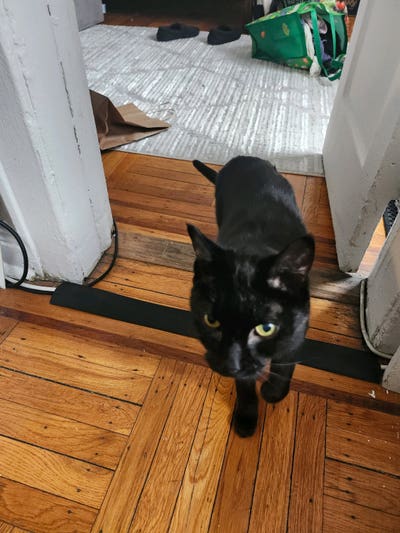 Need roommate in hoboken Main Photo