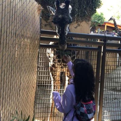 Room wanted in Agoura Hills, Los Angeles, CA Main Photo