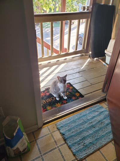 Room wanted in Rosenberg, TX Main Photo