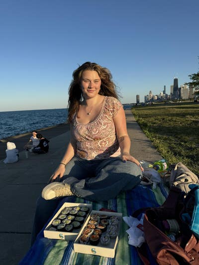 Room wanted in Chicago Main Photo