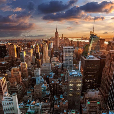 Room wanted in NYC Main Photo