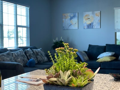 标题： Garden Grove 主卧出租｜独立卫生间｜拎包入住 描述： Garden Grove  Main Photo
