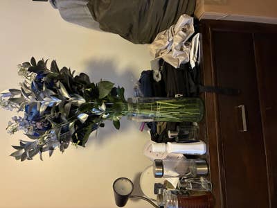 Room wanted in New Rochelle, NY Main Photo