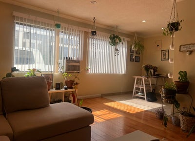 Room for Rent in East Hollywood/ Available ASAP Main Photo