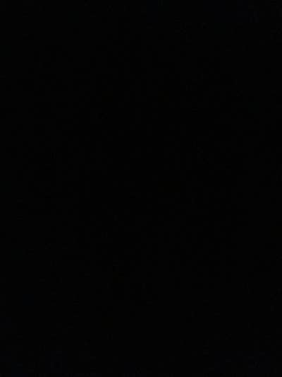 Room wanted in NYC Main Photo