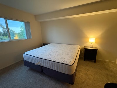 Roommate needed for large 2-bedroom apartment  Main Photo