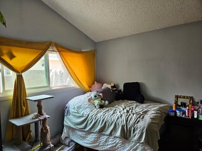 Westminster room available! Main Photo