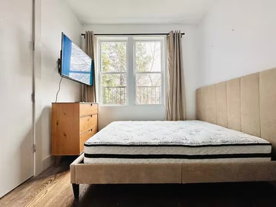 Lovely Room in a Great Neighborhood Main Photo