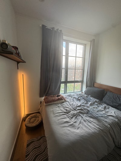 Bedroom available in Bushwick Main Photo