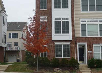 Huge master bedroom for rent in South Riding Main Photo