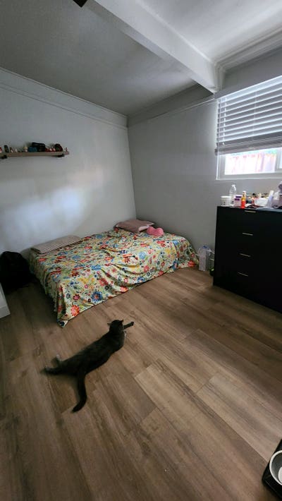 Private room for rent Main Photo