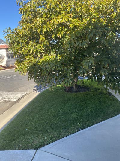 Looking for female roommate, age 55+ Main Photo
