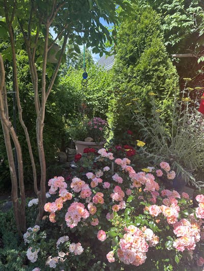 Room wanted in Bayside, Queens, NY Main Photo